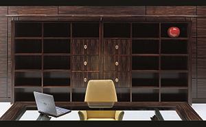 MACASSAR EBONY BOOKCASE DISPLAY UNITS