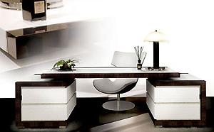 MACASSAR EBONY & LEATHER DESK